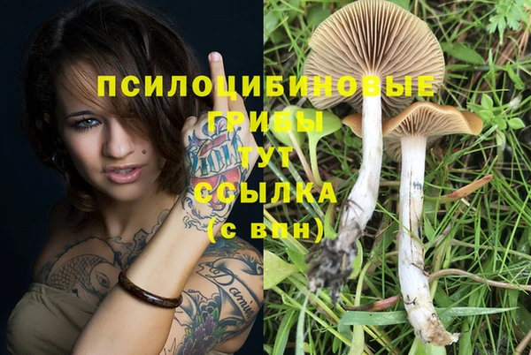 кокаин Белокуриха