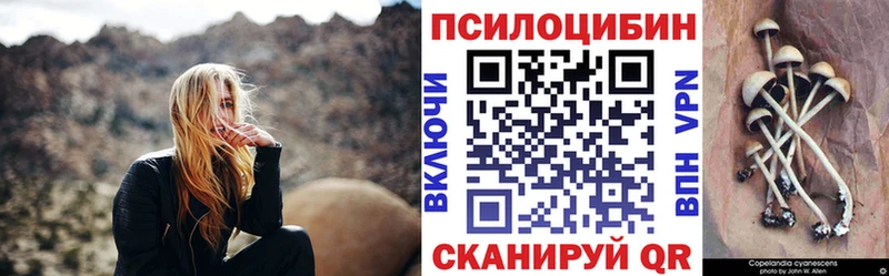 Галлюциногенные грибы Psilocybe  Краснотурьинск 